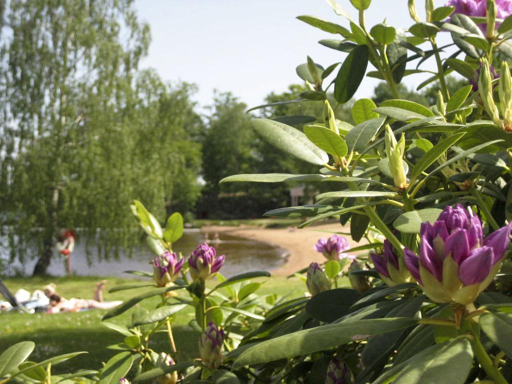 Vaexjoe Hostel Evedal Екстериор снимка